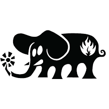 Profile Photo.png