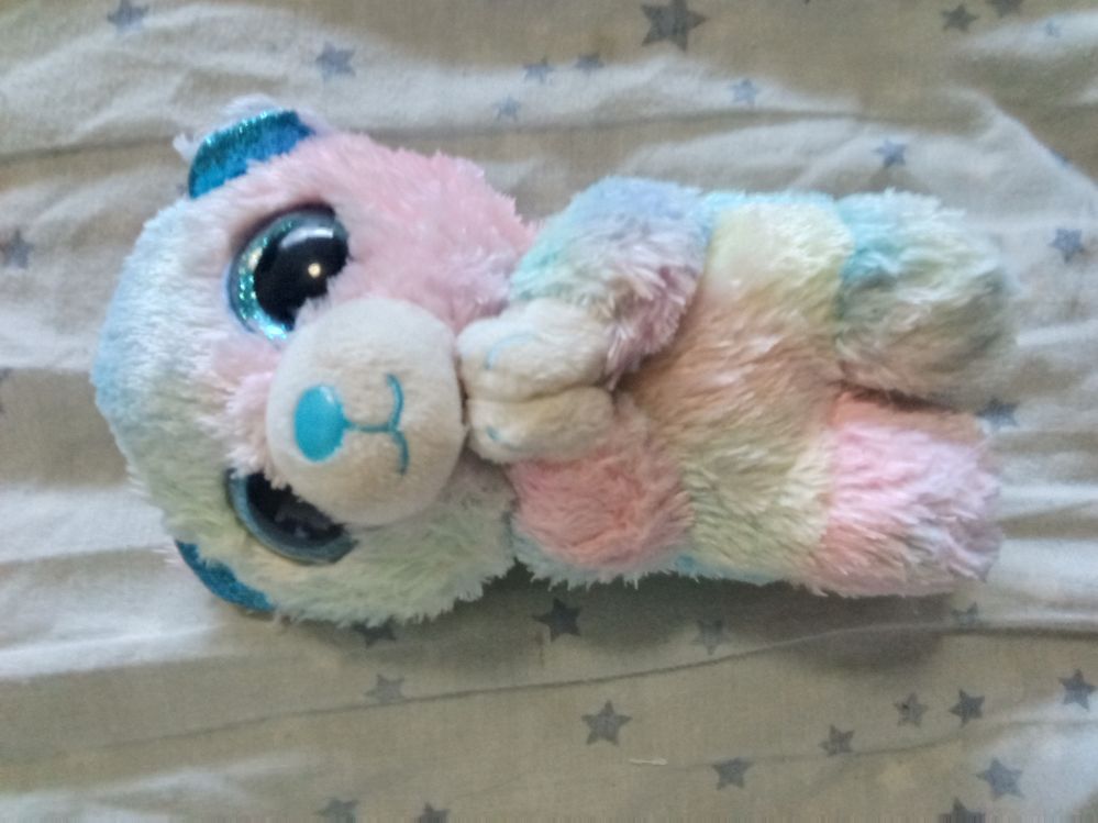 Hope the praying bear