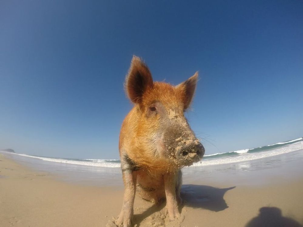 Kevin’s day at the beach