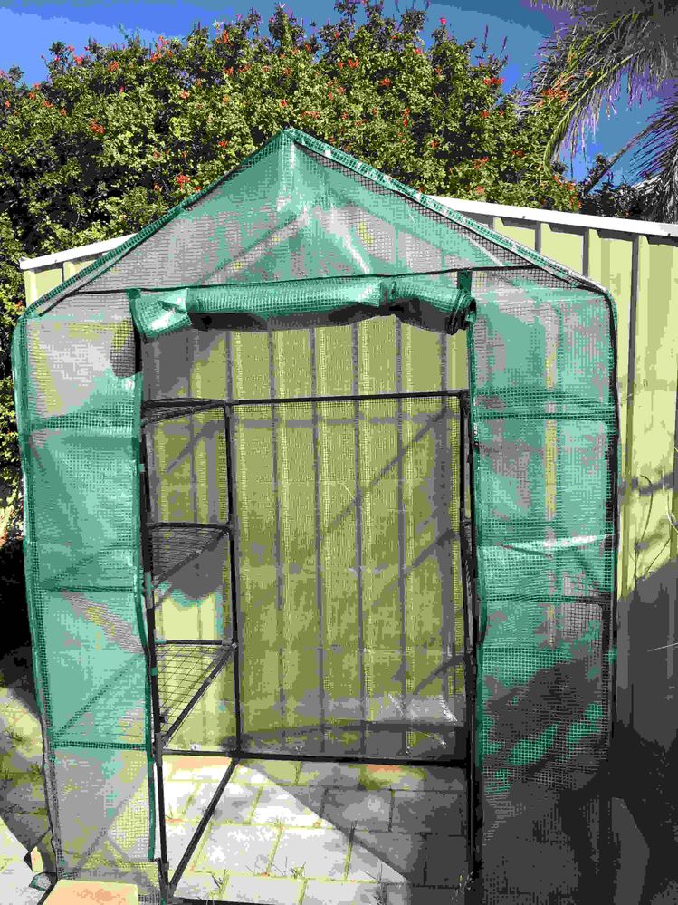 my new walk-in greenhouse