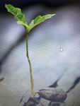 IMG_5706.jpeg