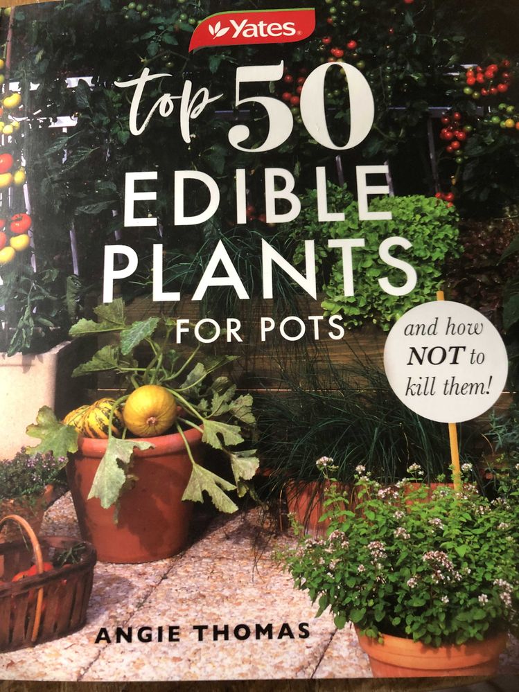 $5 Bargain!!!
